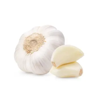 Fresh  Garlic Powder